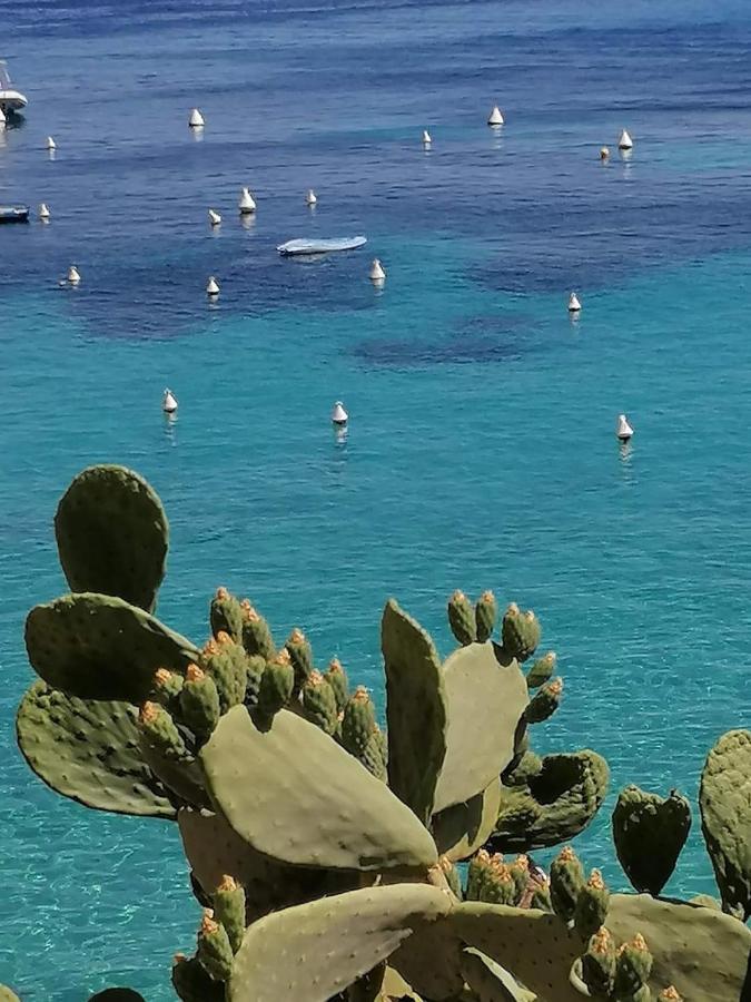 Casa Vacanza Tra Cielo E Mare Custonaci Ngoại thất bức ảnh